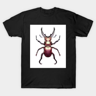 Stag Beetle Illustration T-Shirt